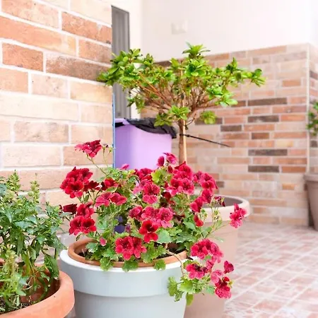 Casa Davide شقة توري أنونزياتا